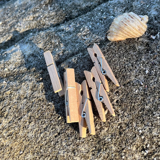 Mini Wooden Pegs